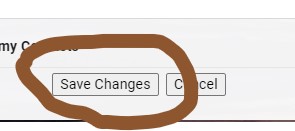 Screenshot of the Gmail "Save Changes" button