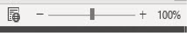 Screenshot of a zoom controller at 100%