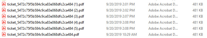 duplicate file names