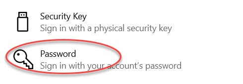 Screenshot of the sign-in options on Windows 10 with Password circled in red.