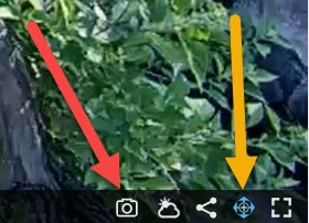 Screenshot of the Houston Zoo's webcam icon area.
