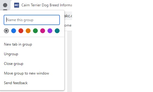 Screen capture of adding a group of tabs