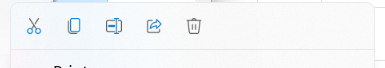 Windows 11 right-click icons