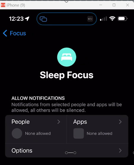 Screenshot of the Sleep Focus screen