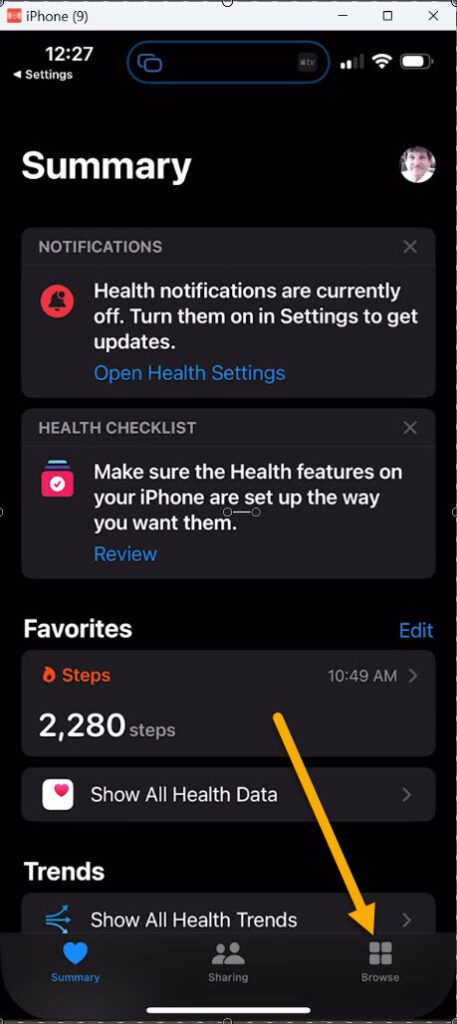 Screenshot of the Health App Summary window