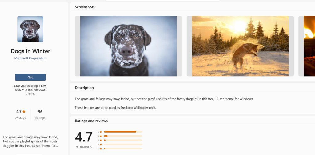 Dogs In Winter Theme