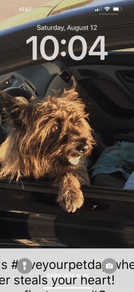 Two More iPhone Features You Should Know - Hide a photo - my iPhone lock screen with Gus