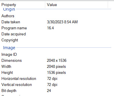 Metadata showing date taken, size