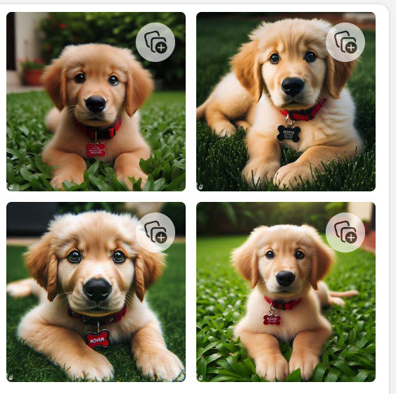 AI created dog pictures.